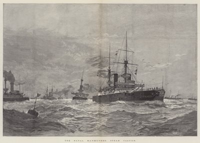 The Naval Manoeuvres, Steam Tactics by Henry Charles Seppings Wright